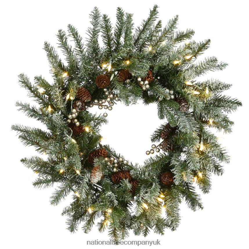 Greenery | National Tree Company Pre-Lit Artificial Christmas Wreath Green Snowy Morgan Spruce White LED Lights Decorated with Pine Cones Christmas Collection 24 Inches F2L4F311